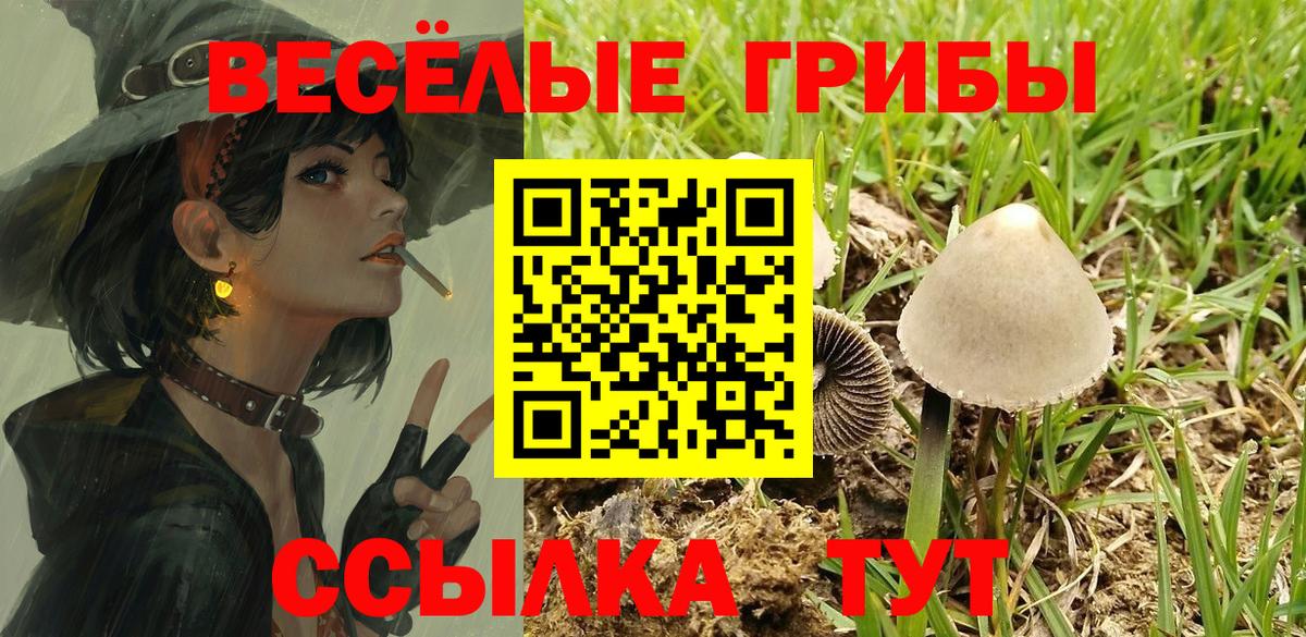 Галлюциногенные грибы Psilocybe Красноармейск